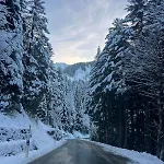 4 People With Terrace *