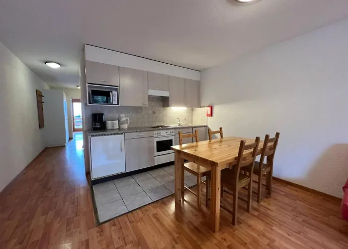 4 People With Terrace アパート Vionnaz