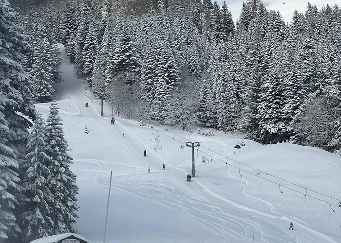 4 People With Terrace Vionnaz