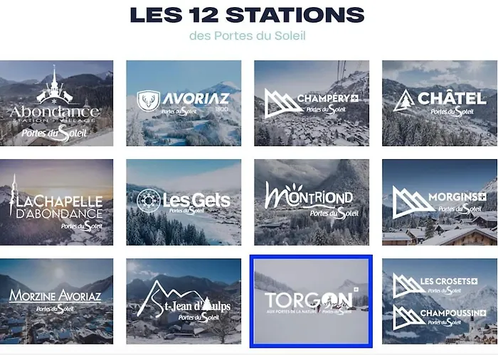 4 People With Terrace アパート Vionnaz