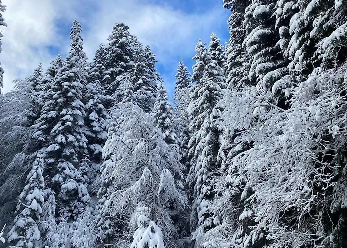 4 People With Terrace アパート Vionnaz