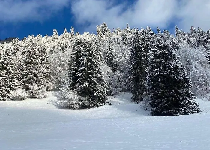 4 People With Terrace Apartman