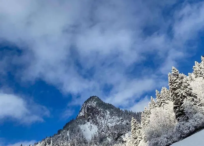 4 People With Terrace Vionnaz