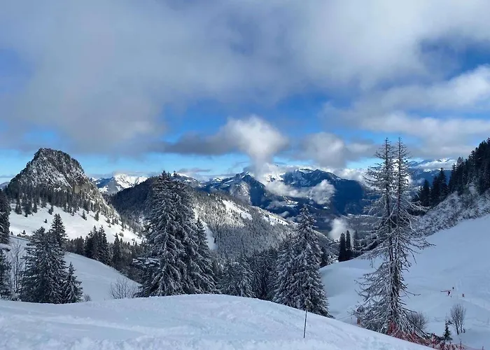 4 People With Terrace Apartman