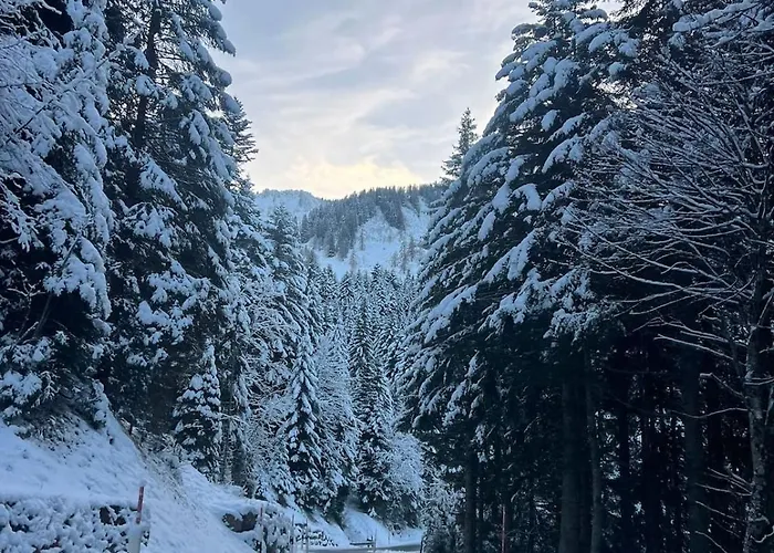 4 People With Terrace *