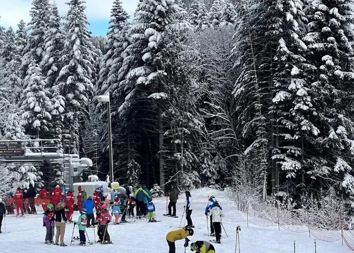 4 People With Terrace Vionnaz
