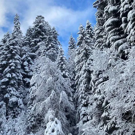 4 People With Terrace Appartamento Vionnaz