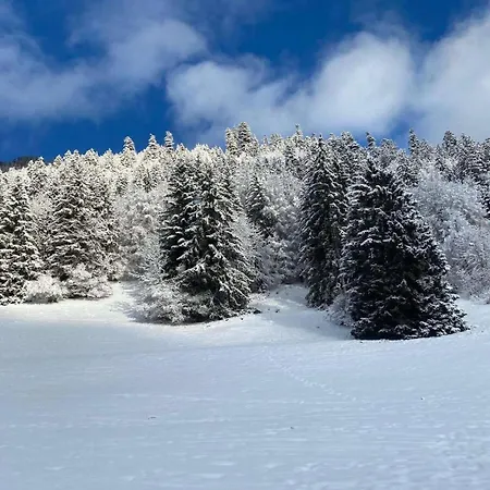 4 People With Terrace Appartamento