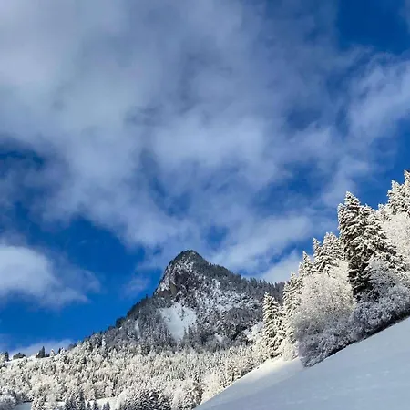 4 People With Terrace Vionnaz